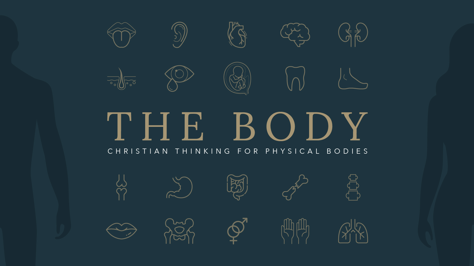 The Body